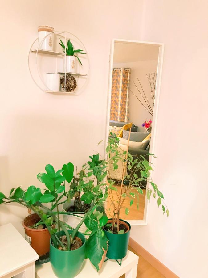 Appartement En Plein Centre Ville Apt Luaran gambar